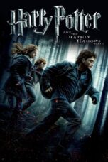 7-Harry Potter and the Deathly Hallows Part 1 Download 2010 and Watch [Dual Hindi-English Audio] ORG GDrive